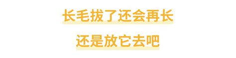 肚臍長白毛|身上有一根毛特別長，是長壽象徵，還是癌變前兆？